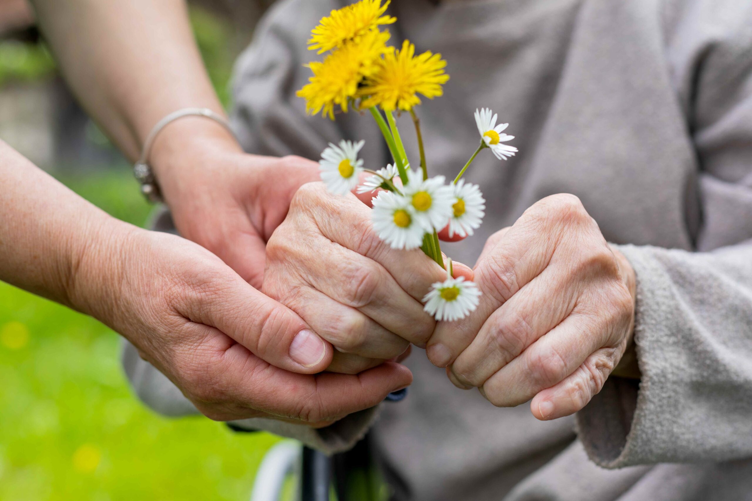 Ein junger Mensch und ein alter Mensch halten sich an den Händen. Der alte Mensch trägt dabei in der Hand einen kleinen Blumenstrauß mit Gänseblümchen und Löwenzahn.