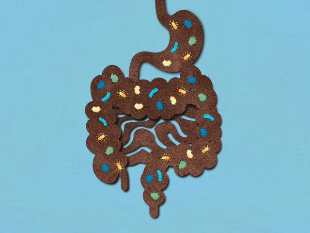 Das menschliche Darmmikrobiom - konzeptionelle Illustration