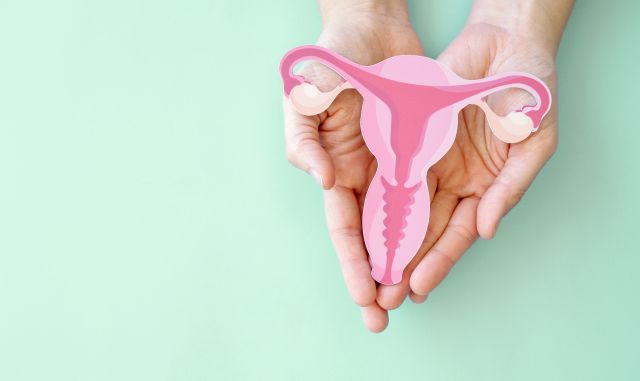 Hände halten Gebärmutter, weibliches Fortpflanzungssystem, Frauengesundheit, PCOS, gynäkologisches und Gebärmutterhalskrebskonzept