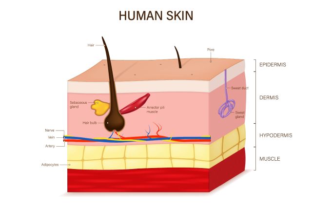 © Dee-sign - stock.adobe.com