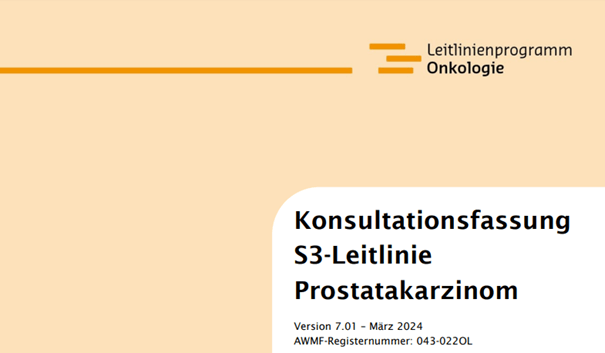 Die S3-Leitlinie ist ein Instrument, welches Ärzt:innen dabei helfen soll Früherkennungen, Diagnostik und Therapie bei dem Prostatakarzinom zu verbessern. Die Leitlinie unterstützt sie so auch bei der Entscheidung über Früherkennungsmaßnahmen.