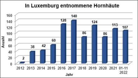 Grafik: In Luxemburg entnommene Hornhäute