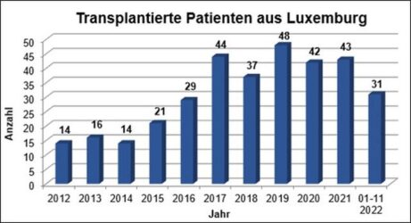 Grafik: Luxemburger, die in Homburg ein Transplantat erhielten