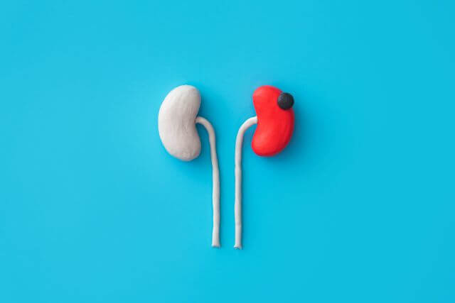 Neue Daten vom SCO GU 2024 zeigen
robuste Vorteile von Kombinationstherapien in Bezug auf progressionsfreies Überleben, Gesamtüberleben und Ansprechraten.
(Symbolbild © Adobestock – Андрей К)