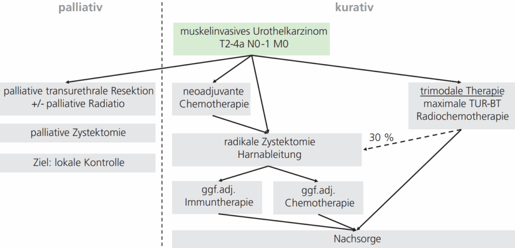 Abb. 1: Multimodale Behandlung des muskelinvasiven Blasenkarzinoms.