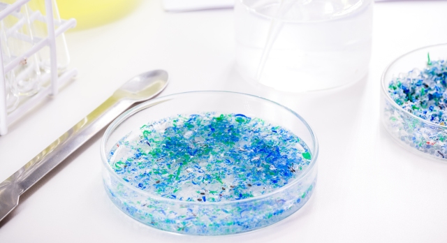 Nahaufnahme einer Petrischale mit bunten Mikroplastik-Partikeln, die auf die gesundheitlichen Risiken von Mikroplastik hinweisen.