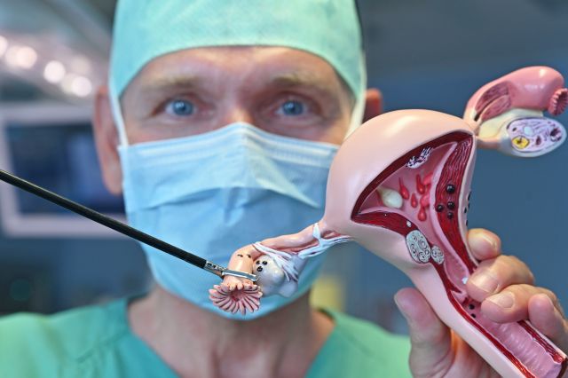 Das Bild zeigt Prof. Ingo Runnebaum, der am Modell die Entfernung der Eileiter zeigt.