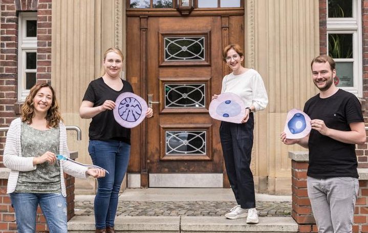 Ermöglichen mit ihren Analysen einen hochauflösenden Blick in den Hoden (v.l.n.r.): Dr. Sara Di Persio, Priv.-Doz. Dr. Nina Neuhaus und Dr. Sandra Laurentino vom Centrum für Reproduktionsmedizin sowie Tobias Tekath vom Institut für Medizinische Informatik. Die Daten ermöglichen ein besseres Verständnis von   Kryptozoospermie. (Foto: L. Jeremies)