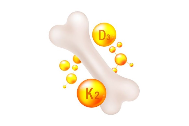Weißer Knochen mit gelben Vitamin-D3- und K2-Kugeln, umgeben von kleineren orangefarbenen Kugeln.