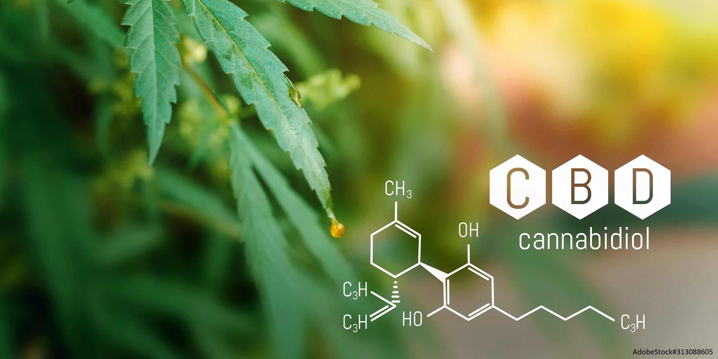Chemische Formel von Cannabidiol (CBD)