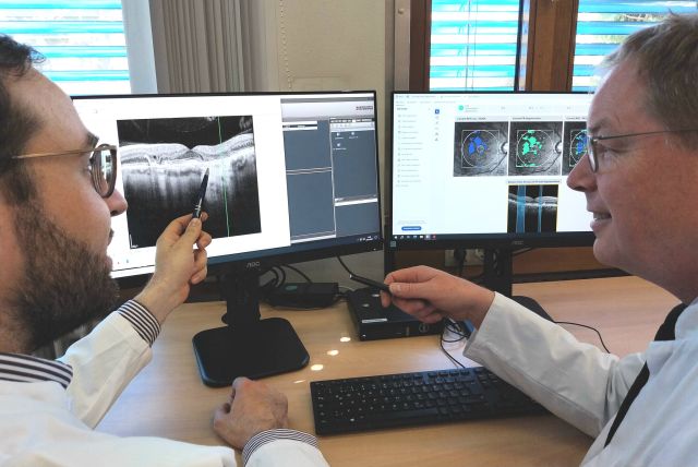 Zwei Ärzte vor Computerbildschirm mit Diagnose-Tool