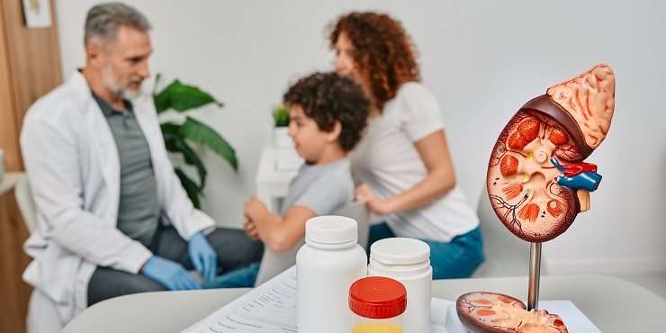 Junge mit Mutter beim Arzt, Modell einer Niere im Vordergrund