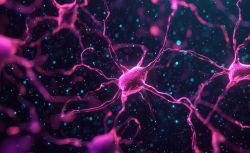 Darstellung aktivierter Neuronen in pink