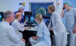 Leipziger Ärzteteam diagnostiziert am Computer einen Schlaganfall.