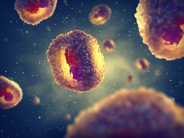 Darstellung von Viren, die sexuell übertragbare Infektionen verursachen, unter dem Mikroskop