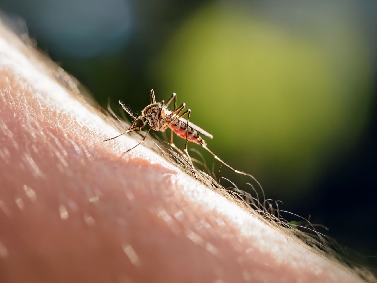 © Barry_stock.adobe.com