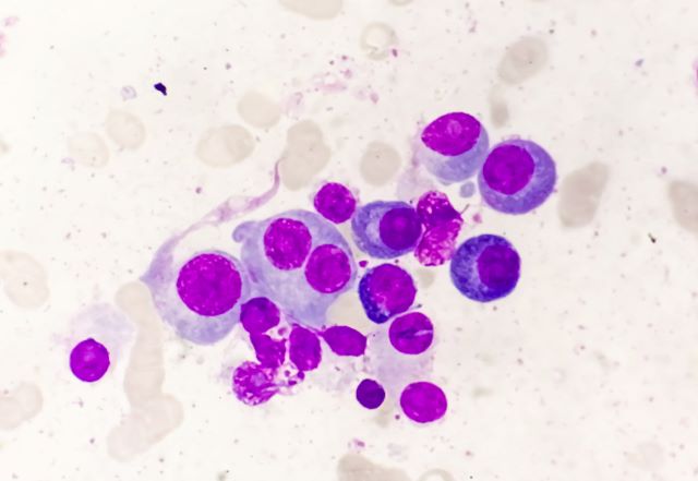 © Saiful52 - stock.adobe.com