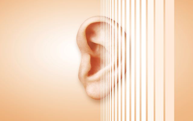 © janvier – stock.adobe.com