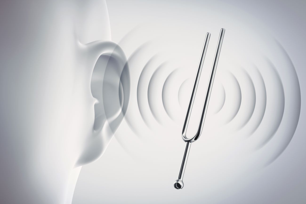 © peterschreiber.media – stock.adobe.com