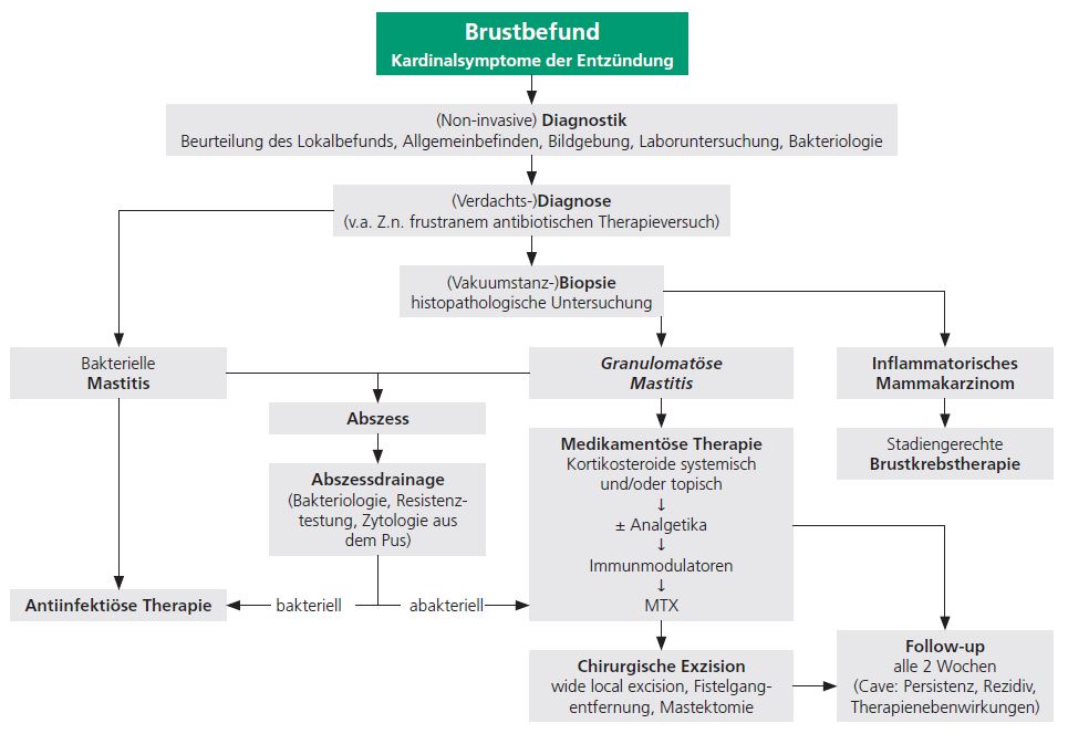 Abb. 2: Granulomatöse Mastitis – Diagnose- und Behandlungspfad.