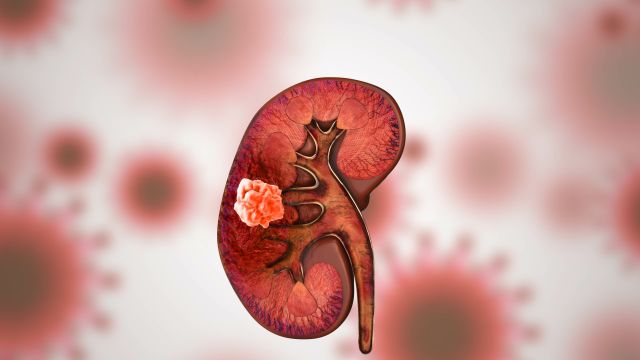 Symbolbild © Green – stock.adobe.com