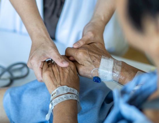 © Chinnapong – stock.adobe.com