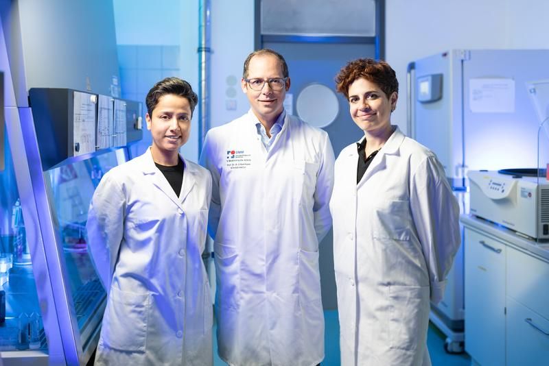 Prof. Dr. med. Andreas Linkermann und zwei der drei Erstautor:innen der im Journal Nature veröffentlichten Arbeit: Shubhangi Gavali, PhD (li.) und Francesca Maremonti, PhD. (© Medizinische Fakultät Mannheim der Universität Heidelberg)