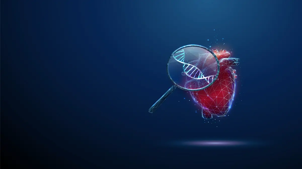 3D-Darstellung eines Herzens mit Vergrößerungsglas, im Vergrößerungsglas zeigt sich DNA.