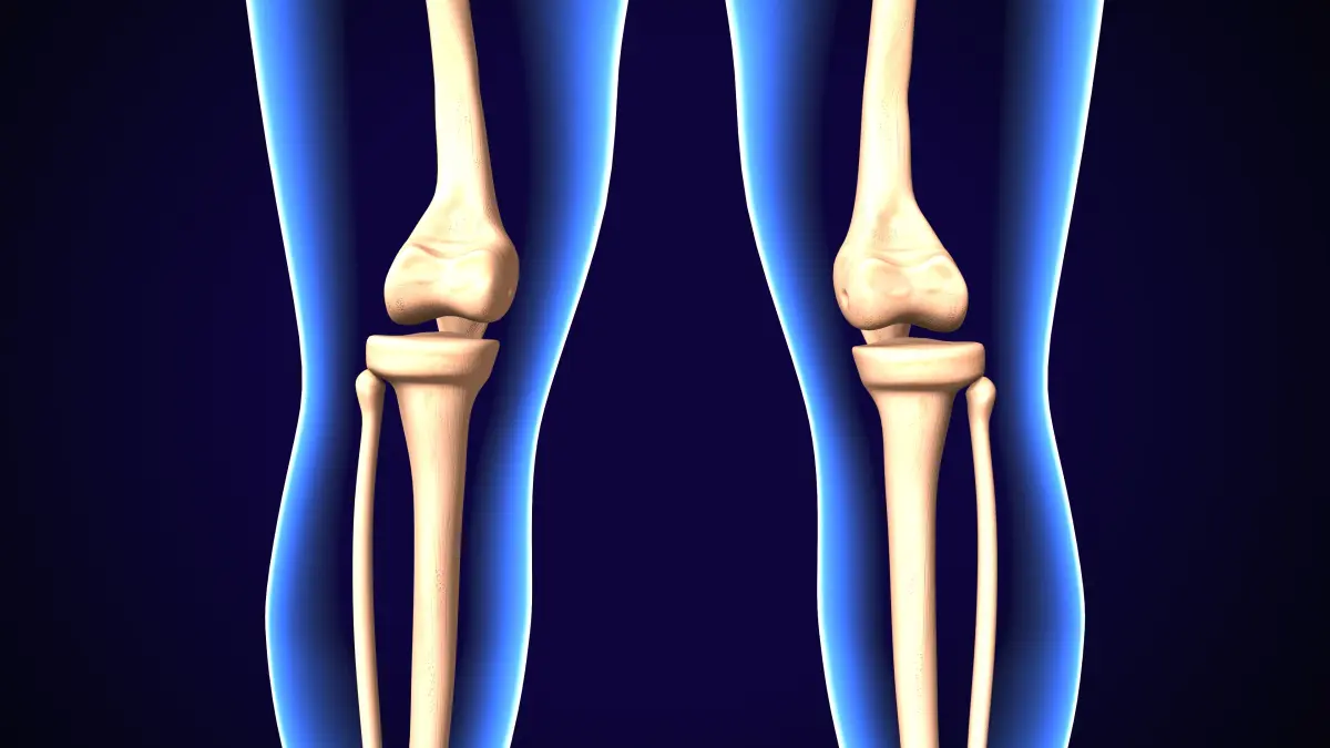 3D-Illustration der Beinknochen-Anatomie eines Säuglingsskelett.