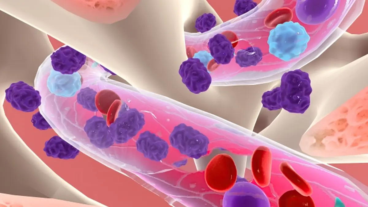 Wissenschaftliche Visualisierung von Blutzellen, die den Kontext der AML-Therapie und molekularen Charakterisierung illustriert.