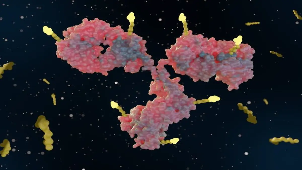 3D-Darstellung eines Antikörpers mit gelben Bindungsstellen, der die Immunabwehr und Biotechnologie symbolisiert.