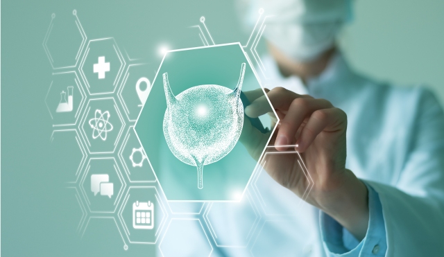 Stilisiertes Bild der Blase in einem medizinischen Kontext, das Forschung und Therapieansätze bei Blasenerkrankungen darstellt.