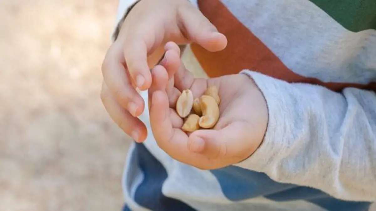 Erdnüsse in den Händen eines Kindes