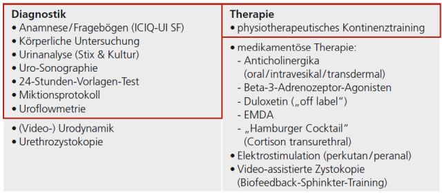 Abb. 1: Diagnostikgestütztes, differenziertes, multimodales und individuell anzupassendes Konzept zur konservativen Therapie der Inkontinenz beim Mann (rot umrandet die Minimalanforderungen)