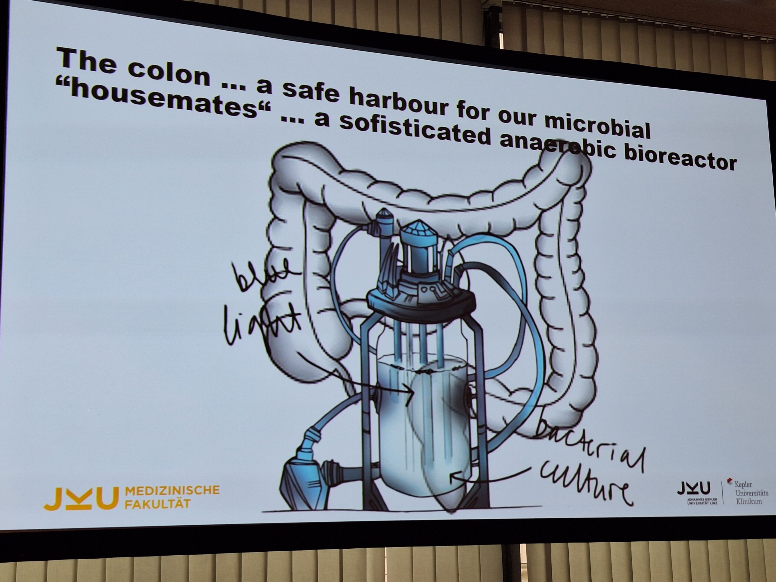 Vortag Prof. Dr. Alexander Moschen, DERM Alpin 2025