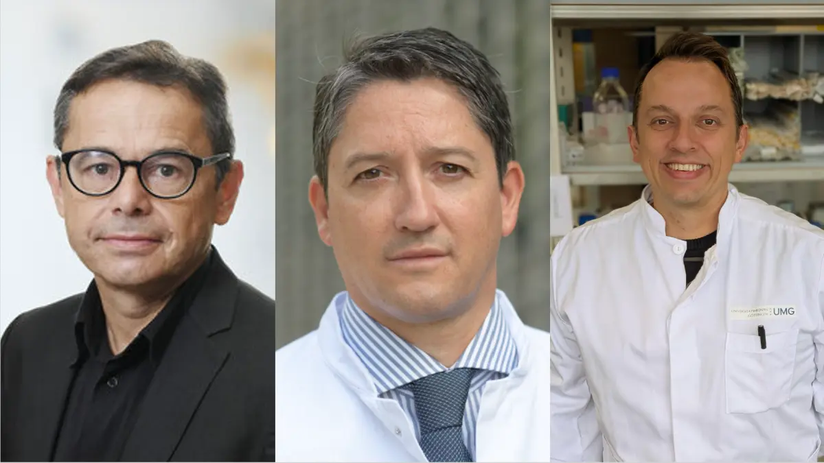 Forschende der Universitätsmedizin Göttingen, Charité und TUM entdecken neuen Therapieansatz für Bauchspeicheldrüsenkrebs.