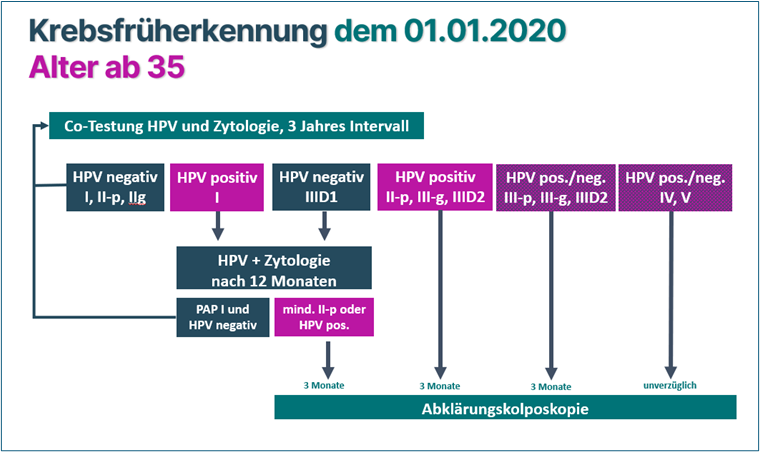 Abb. 2: Screeningalgorithmus zur Krebsfrüherkennung ab 35 Jahren: Mithilfe der Co-Testung (HPV und Zytologie) im 3-jährlichen
Intervall erfolgt je nach Befund eine gezielte Nachkontrolle, Wiederholungsabstrich oder Abklärungskolposkopie zur
frühzeitigen Erkennung auffälliger Befunde.