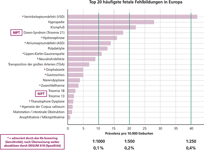 Abb. 4: Balkendiagramm der 20 häufigsten fetalen Fehlbildungen in Europa (EUROCAT, Fehlbildungsmonitoring Sachsen-Anhalt),
von denen fast alle durch das Ultraschall-Screening IIb adressiert werden, während einige (*) danach eine weiterführende
Abklärung durch DEGUM II/III erfordern.