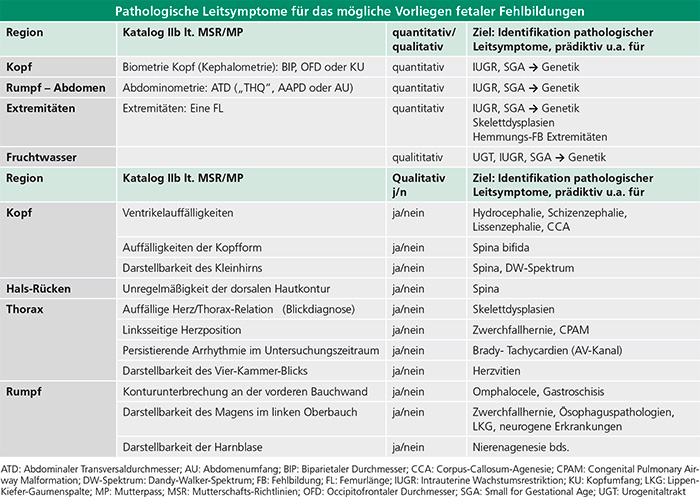 Tab. 1: Systematische Untersuchung pathologischer Leitsymptome im Rahmen des Ultraschall-Screenings IIb in den Bereichen
Kopf, Hals-Rücken, Thorax und Rumpf zur frühzeitigen Erkennung von Auffälligkeiten wie Hydrozephalie, Spina bifida, Herzvitien
oder Zwerchfellhernien.