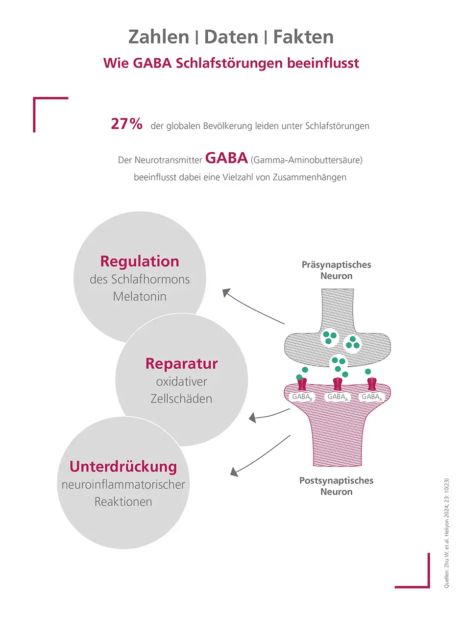 Wie GABA Schlafstörungen beeinflusst