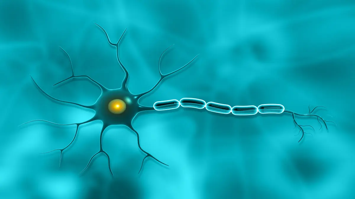 Illustration eines Neurons, symbolisiert Fortschritte in der Prävention und Therapie neurologischer Erkrankungen.