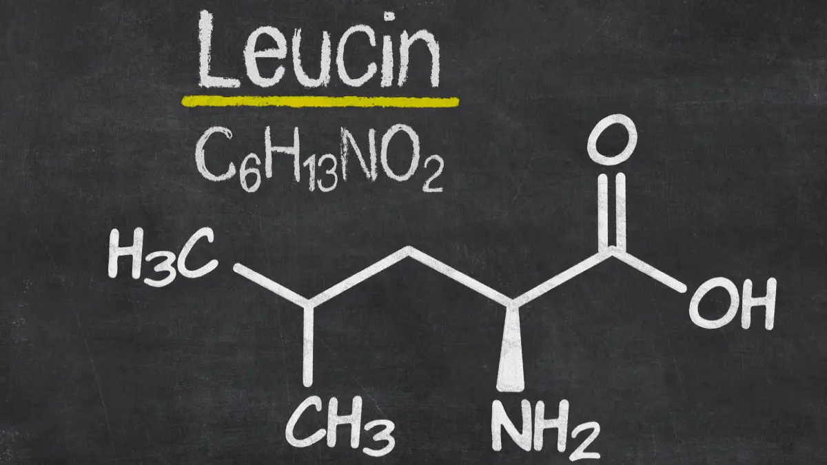 Schiefertafel mit der chemischen Formel von Leucin